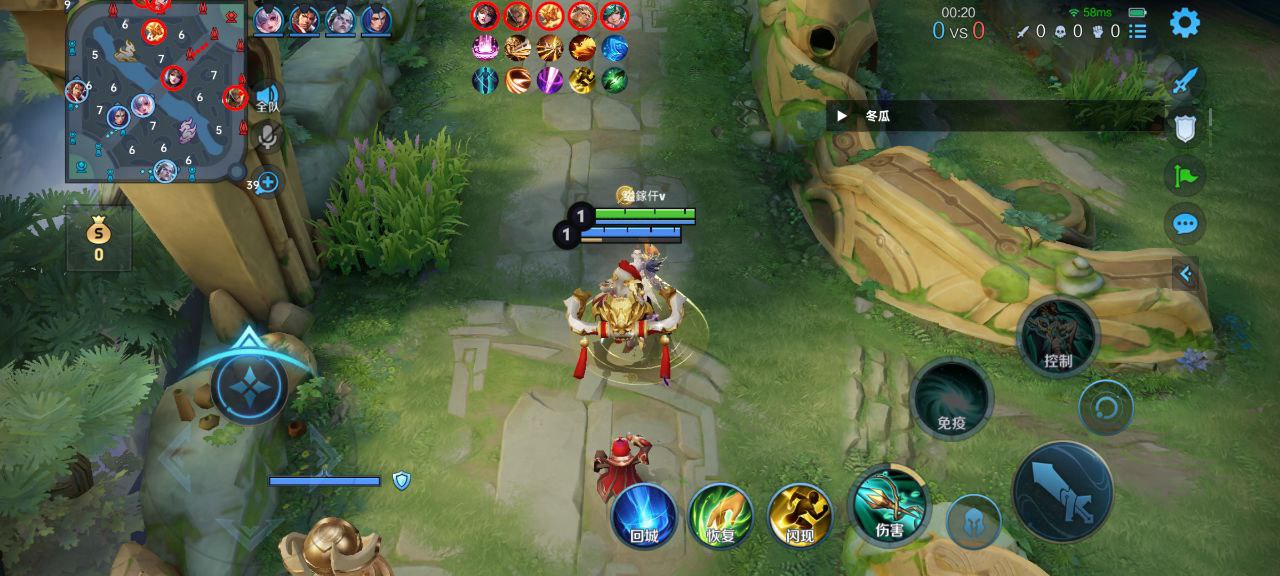 王者荣耀《九天玄鸟》外挂