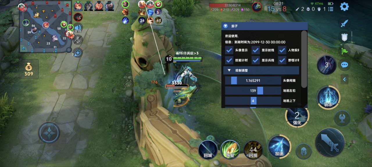 王者荣耀「黑马」内核辅助